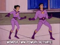 twins.jpg
