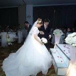 IMG_8230.JPG