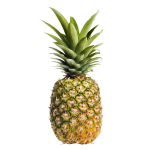 1680621801741.png