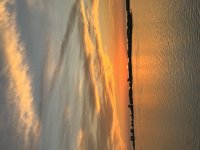 214C57A9-E255-4F68-B961-B0290DD3C071.jpeg