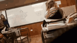 1681429524660.gif