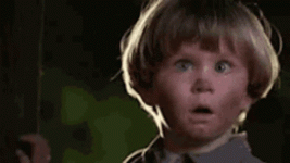 1681776349982.gif
