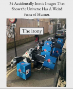 1681846756555.png