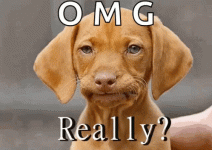 disappointment-dog.gif