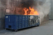 1681944867776.gif