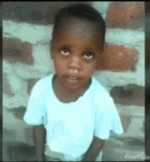 1682043436416.gif