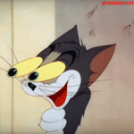 1682043548235.gif