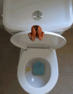 1682114070820.gif