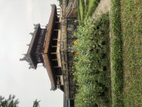 7DFB151A-DC31-4C43-A936-C4DC8205D0AA.jpeg