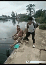 1682365976005.gif