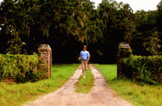 1682439573140.gif