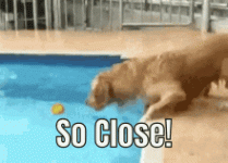 1682887937829.gif