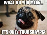 thursday.jpg