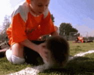 1683220448917.gif