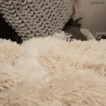 1683326285970.gif
