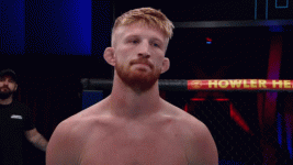 1683415162580.gif