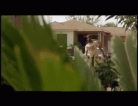 1683427753061.gif