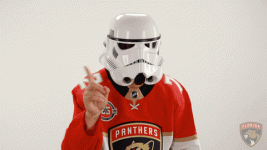 1683508168818.gif