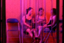 ha-noi-co-234-quan-ca-phe-duong-mo-470-quan-xoa-bop-va-massage-1.jpeg