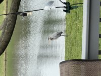 IMG_3500.jpeg