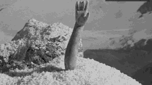 1683741831691.gif