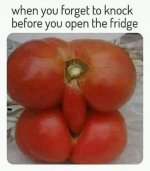 1684124920961.jpeg