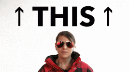 1684260028033.gif