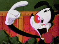 1684574146194.gif
