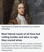 1685551629415.jpeg