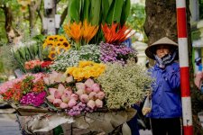 street_vendors_2.jpeg