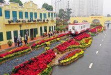 flower street.jpeg