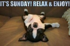 sunday.jpg
