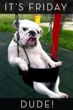 friday.jpg