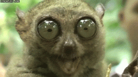 1686320307234.gif