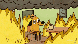 1686324042006.gif