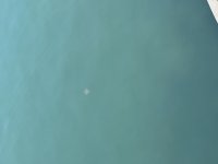 IMG_4135.jpeg
