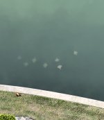 IMG_4149.jpeg