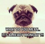 Monday.jpg