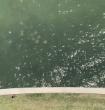 IMG_4248.jpeg