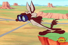 1686760043192.gif