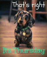 thursday.jpg