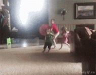 1686981377527.gif