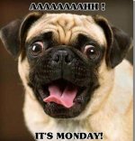 Monday.jpg