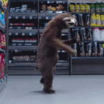 1687313203242.gif