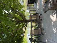 IMG_4425.jpeg