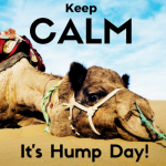hump day.png