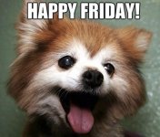 friday.jpg