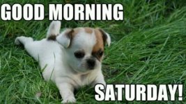 saturday.jpg