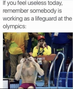 1687608127079.png