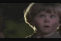 1687689447513.gif